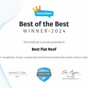 Best Flat Roof - Best of the Best 2024